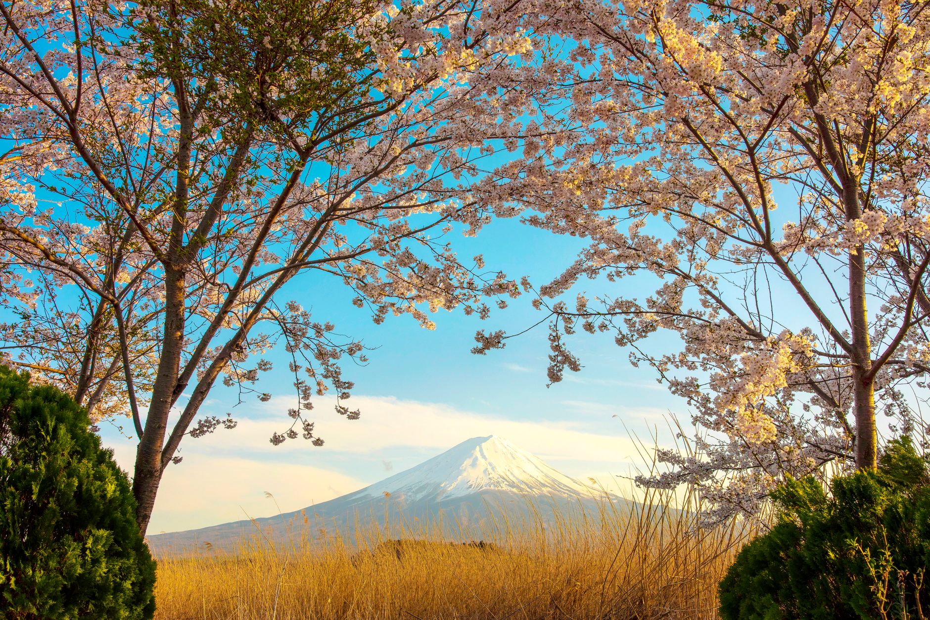 日本一高い富士山はなぜ人々に愛されてきたのか