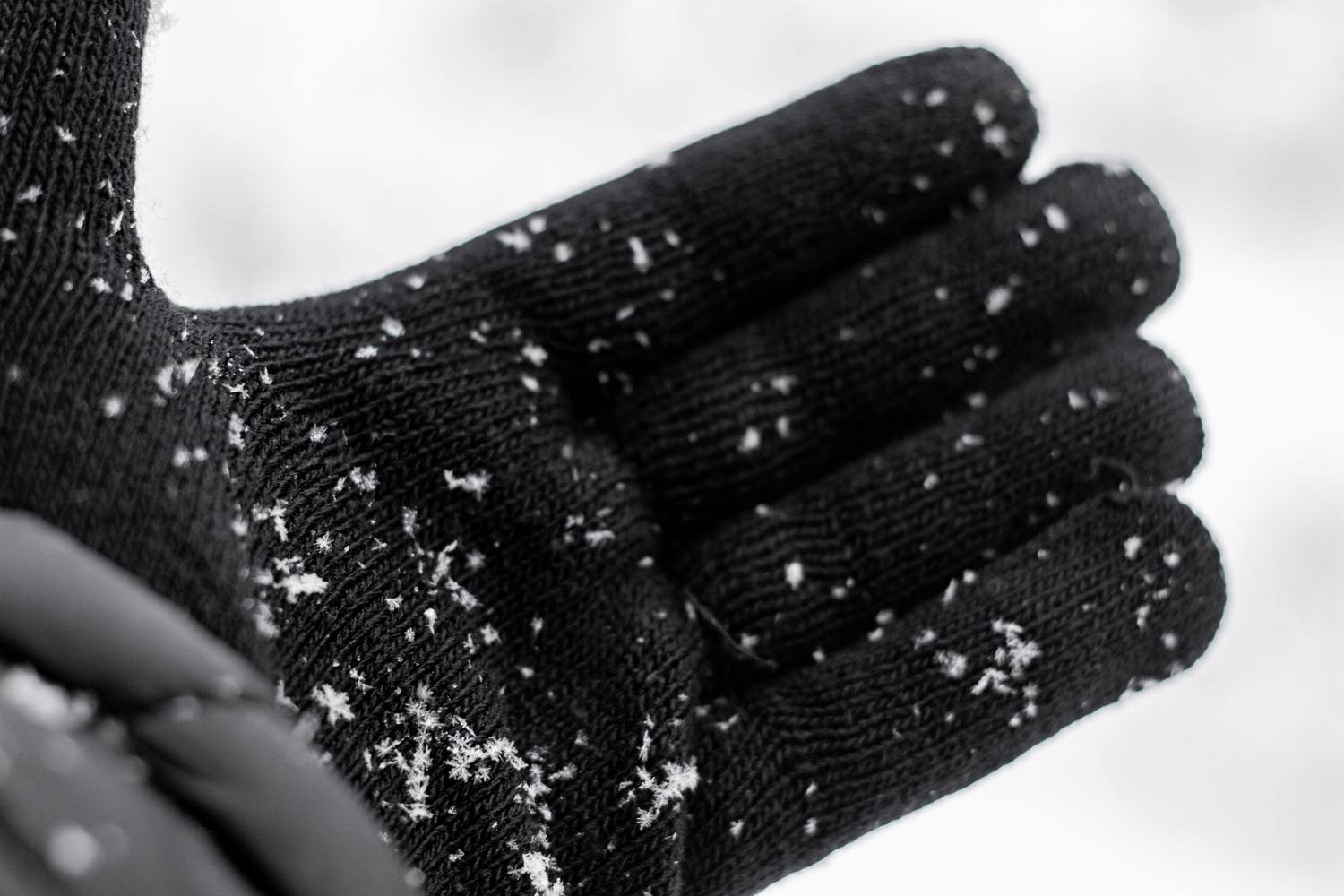 雪の降る屋外で、黒い手袋の手のひらに雪が落ちている様子